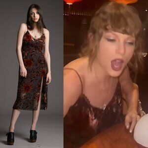 NWT Little Lies Rooms on Fire Devore Slip Dress ASO Taylor Swift